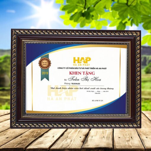 Certificate frame 4707 brown