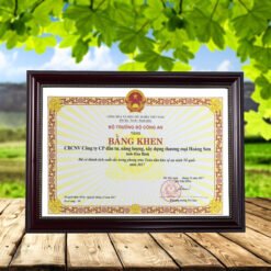 Certificate frame 3412 brown