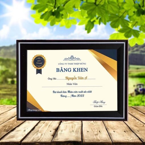 certificate frame 28-12 balck