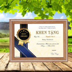 Certificate frame 28-12 wood grain